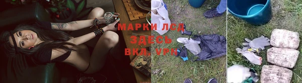 ALPHA PVP Покровск
