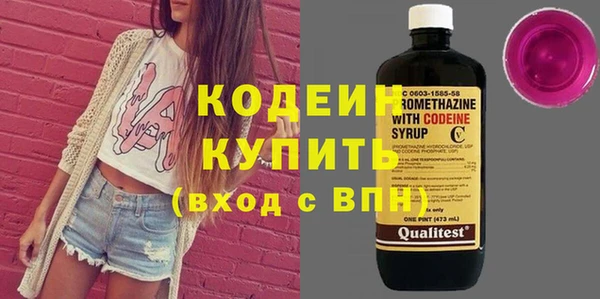 шишки Пересвет