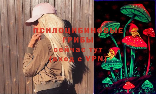 ALPHA PVP Покровск