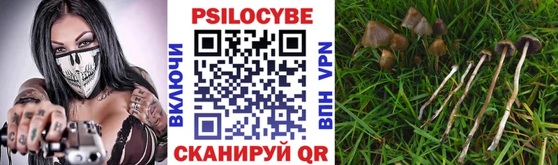 Псилоцибиновые грибы мицелий Купить закладки Кольчугино